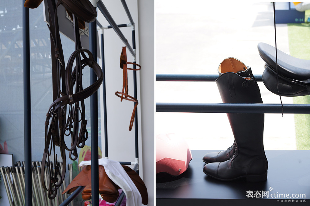 马术需要关注几个误区,观赏马有哪些