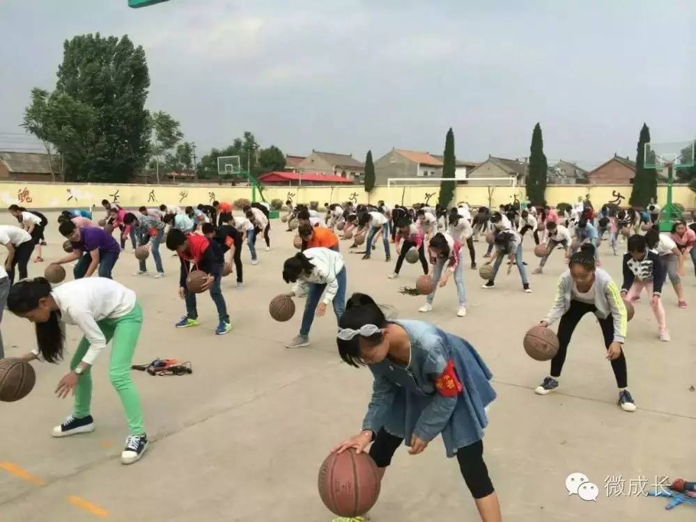 校园新闻最新,最新校园报道视频