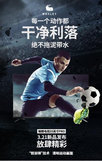 欧洲杯大屏电视推荐,看球神器视频