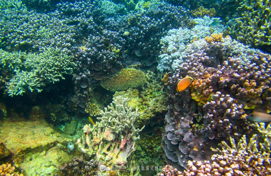 邮轮游冲绳,乘邮轮去日本要签证吗