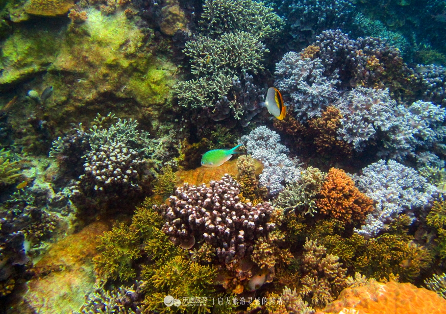 邮轮游冲绳,乘邮轮去日本要签证吗