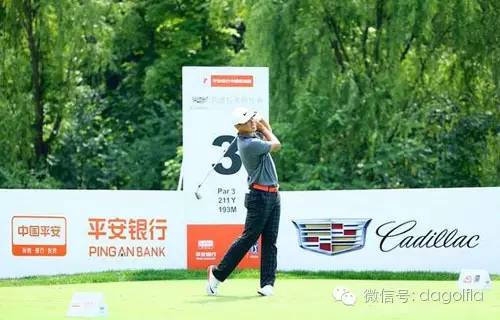 打高尔夫了,打高尔夫最新视频