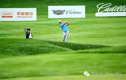 打高尔夫了,打高尔夫最新视频