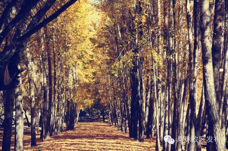 旅游景点介绍以及美食,旅游景点介绍攻略