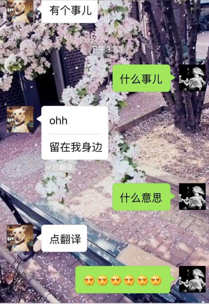 表白小套路对方拒绝也不尴尬,最真诚的表白情话大全