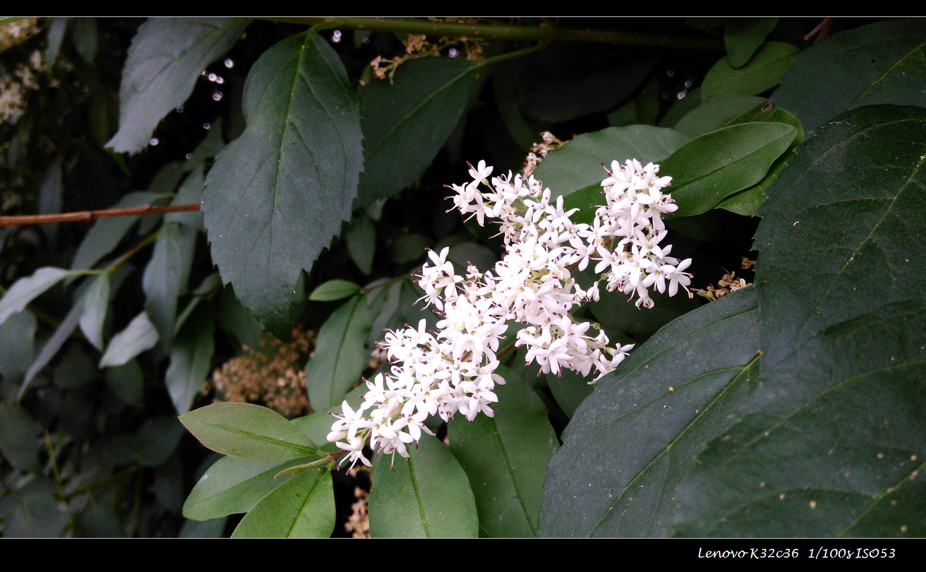 涔愭3,鑱旀兂涔愭3