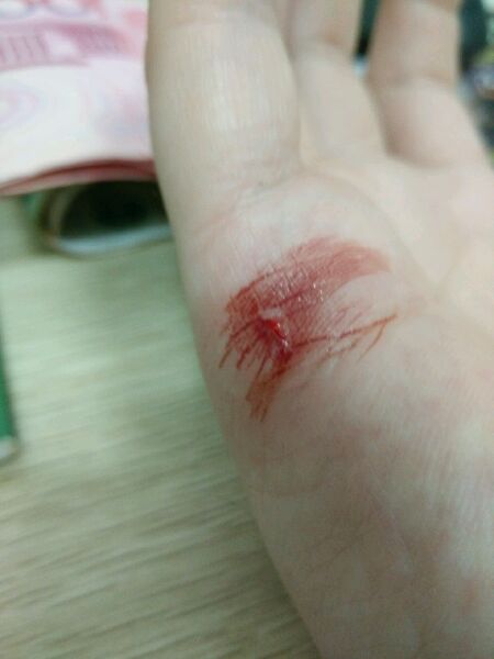 玩乌龟的下场有哪些,玩王八