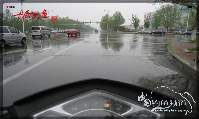 风雨无阻之我爱飞鱼去‘*欢寻**’！