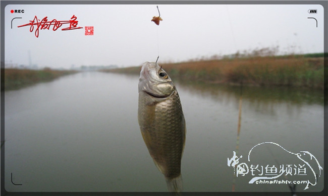 风雨无阻之我爱飞鱼去‘*欢寻**’！