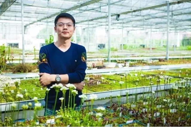 另类电商生意：把植物卖成宠物，把最冷门的做成爆款