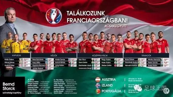 欧洲杯各国最新阵容,欧洲杯所有赛事所有比分