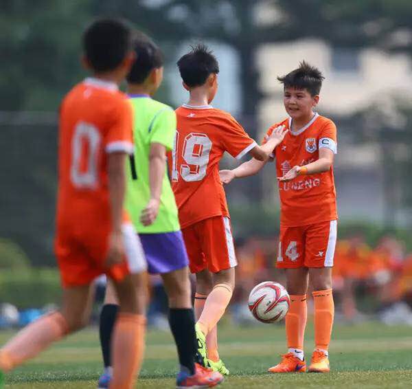 山东鲁能在金元足球期间赚了多少,中超金元时代结束后的鲁能