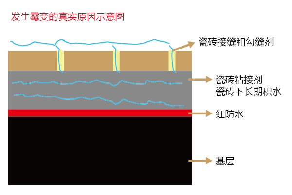 家里墙上瓷砖发霉怎样处理,家里瓷砖缝隙发霉怎么办