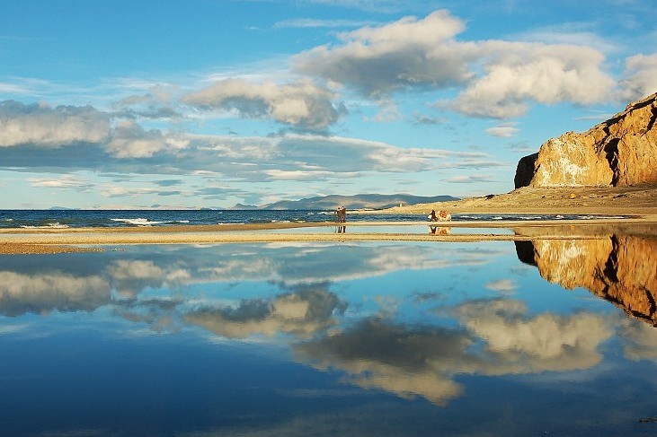 不顺心时候可以像疯狗那样发狂,不顺心的时候你可以像狗