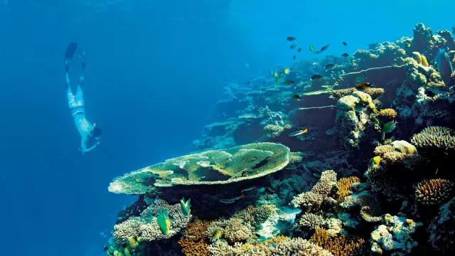 浮潜，是通向另一片世界的钥匙