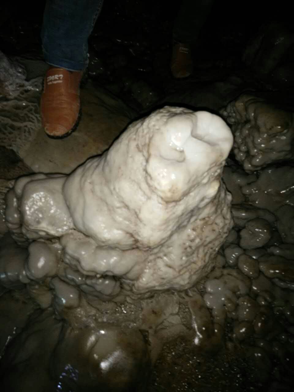 钟乳石是什么药材,钟乳石是中药的钟乳吗