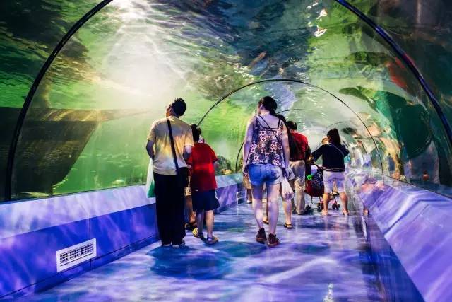 儿童节带小朋友去哪里重庆,儿童节攻略重庆