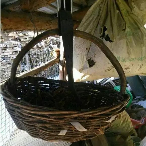 小时候住过地方满满的回忆,满满的小时候的回忆