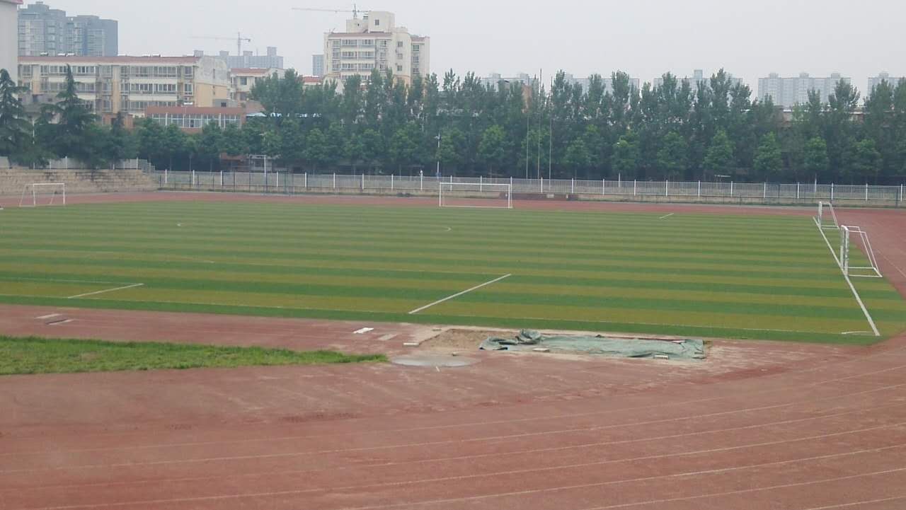 寻找最适合你的运动,寻找运动场地