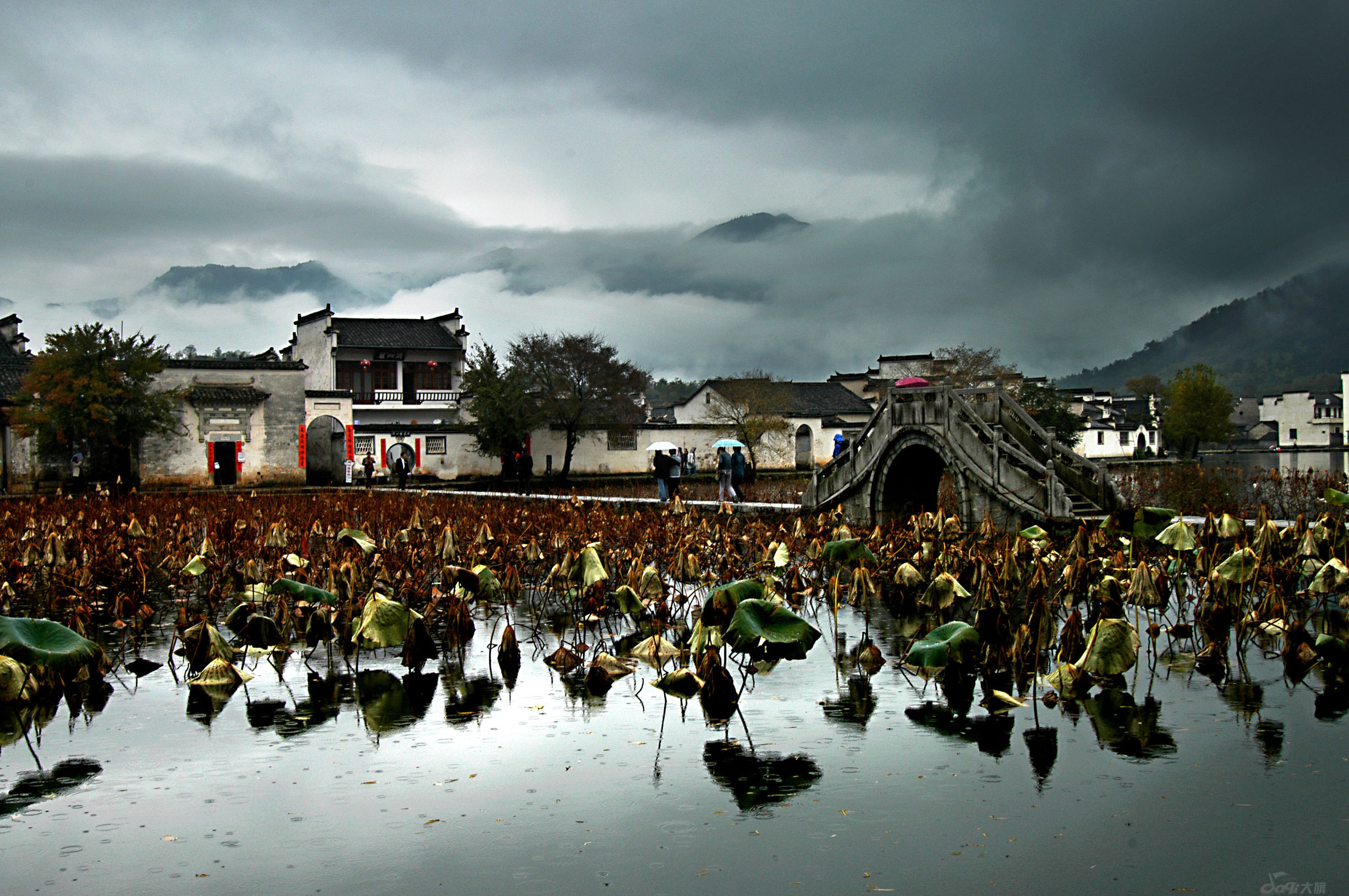 不顺心时候可以像疯狗那样发狂,不顺心的时候你可以像狗