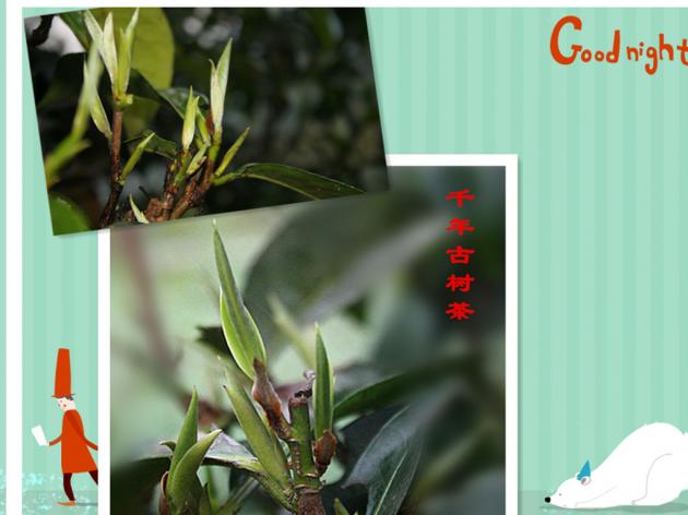 辛开泉：从村淘服务站走出来的电商创业青年