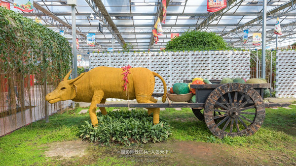 “春醒忆老家”2018全国百家网络媒体走进“酒祖圣地醉美汝阳”