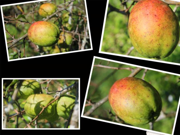 辛开泉：从村淘服务站走出来的电商创业青年