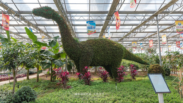 “春醒忆老家”2018全国百家网络媒体走进“酒祖圣地醉美汝阳”