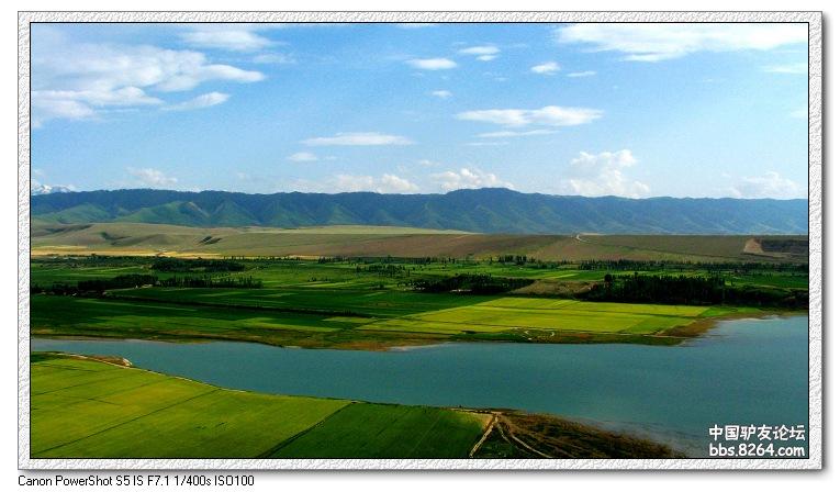 梦里花开——*疆新**，又一次的心动