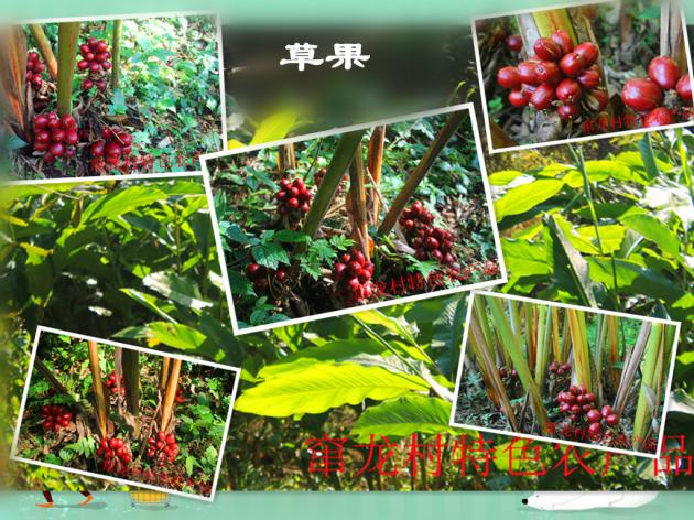 辛开泉：从村淘服务站走出来的电商创业青年