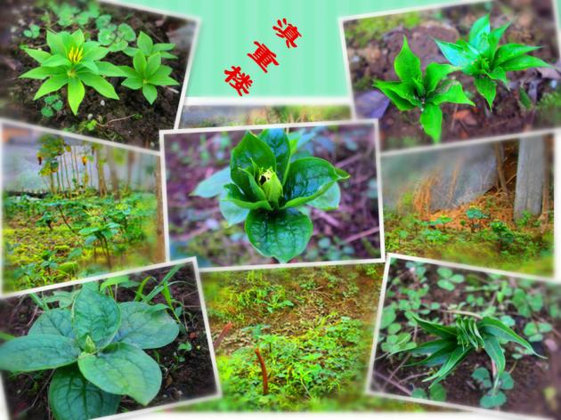 辛开泉：从村淘服务站走出来的电商创业青年