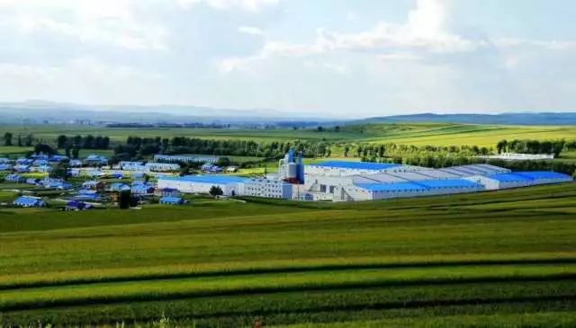 莫力达瓦我的家,莫力达瓦官网