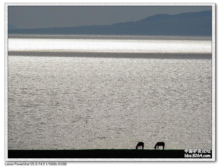 梦里花开——*疆新**，又一次的心动