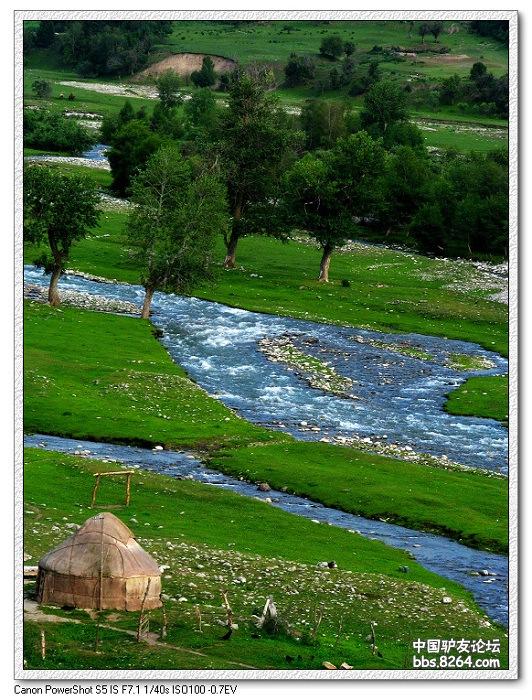 梦里花开——*疆新**，又一次的心动