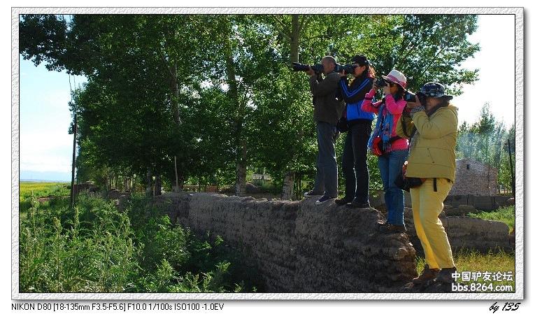 梦里花开——*疆新**，又一次的心动