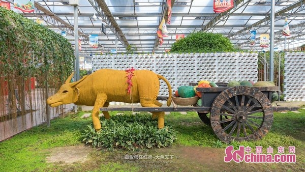 “春醒忆老家”2018全国百家网络媒体汝阳之行感受汝阳绚丽风光