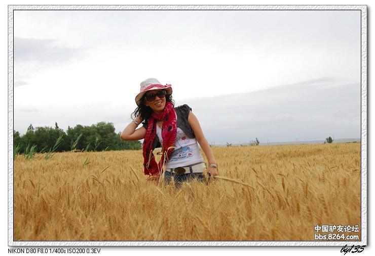 梦里花开——*疆新**，又一次的心动