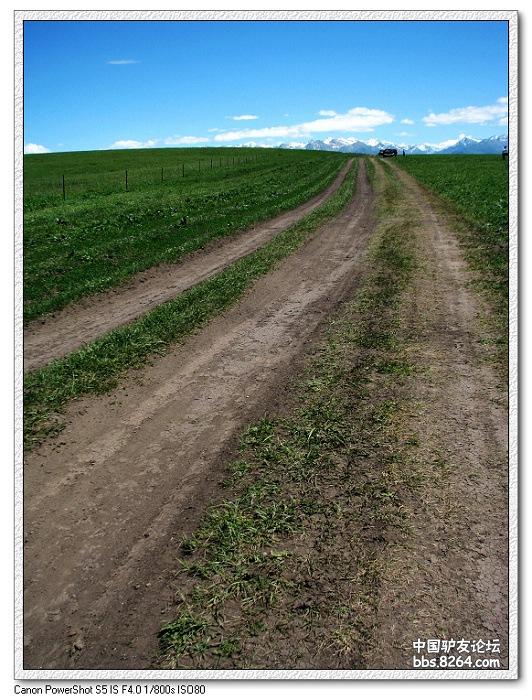 梦里花开——*疆新**，又一次的心动