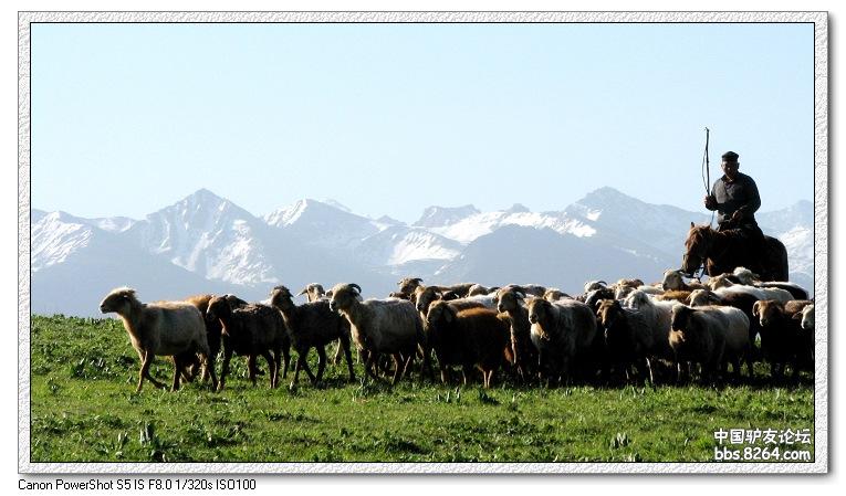 梦里花开——*疆新**，又一次的心动
