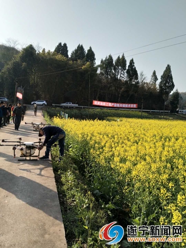 农场转型农庄经营模式,家庭农场贫困户经营模式