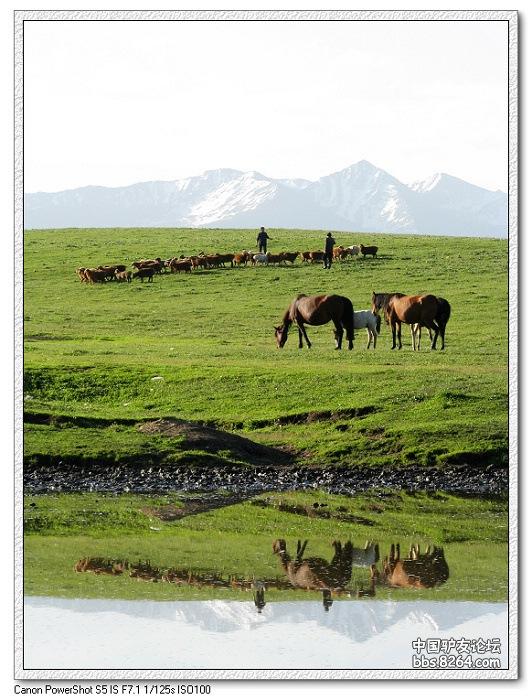 梦里花开——*疆新**，又一次的心动