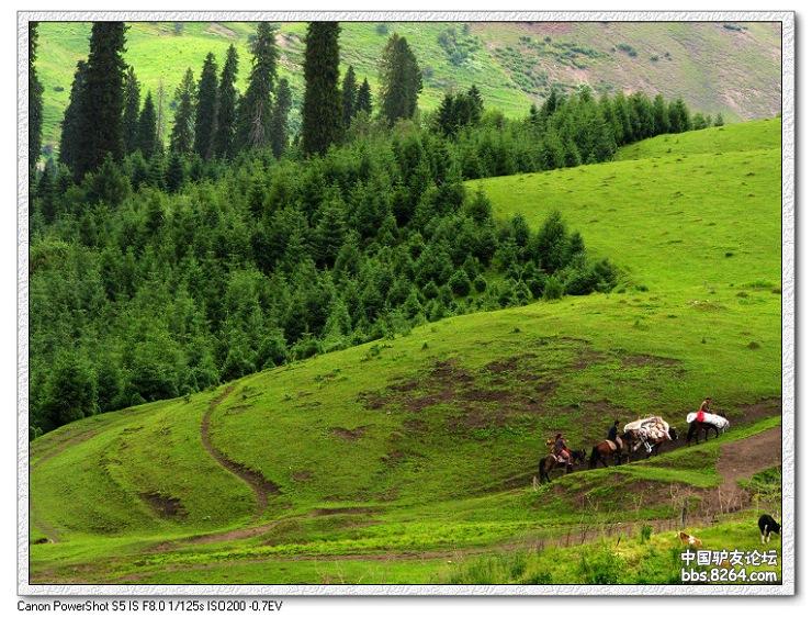 梦里花开——*疆新**，又一次的心动