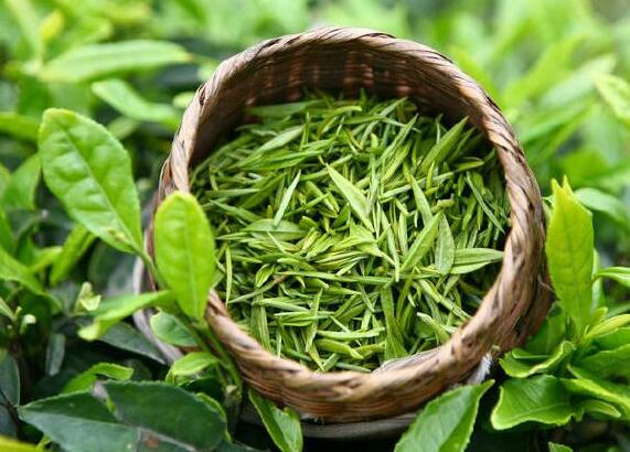 怎么去眼袋和皱纹的最有效方法,去皱纹抗衰老最有效方法