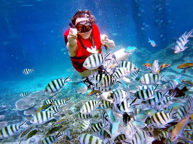 浮潜，是通向另一片世界的钥匙