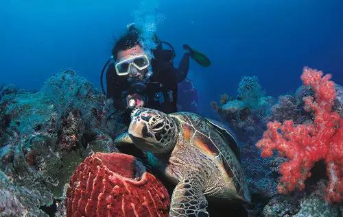 浮潜，是通向另一片世界的钥匙