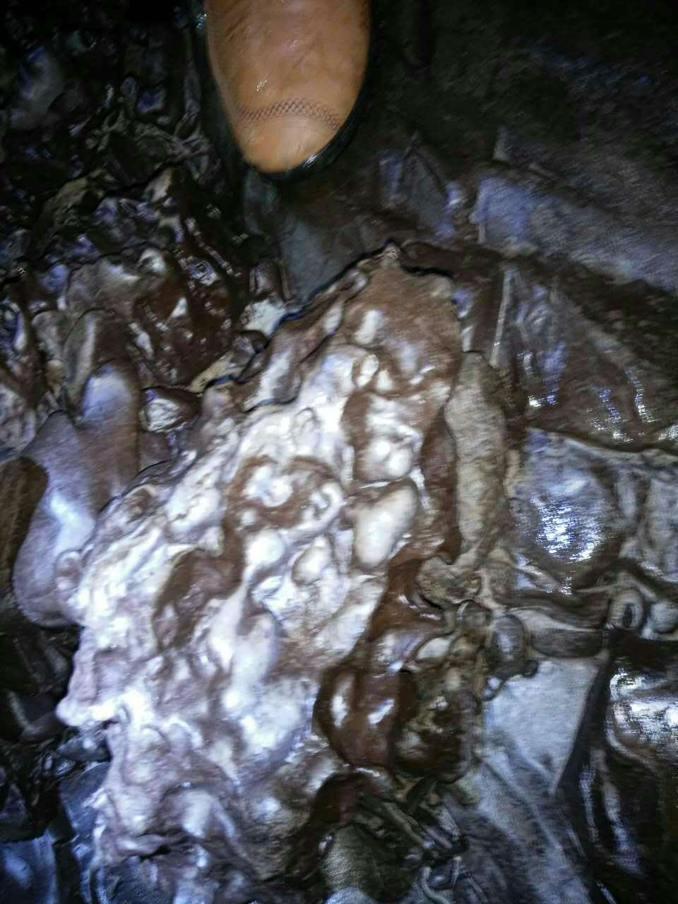 钟乳石是什么药材,钟乳石是中药的钟乳吗