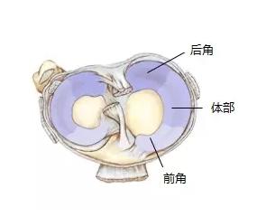 谈虎色变配图,谈虎色变上一句