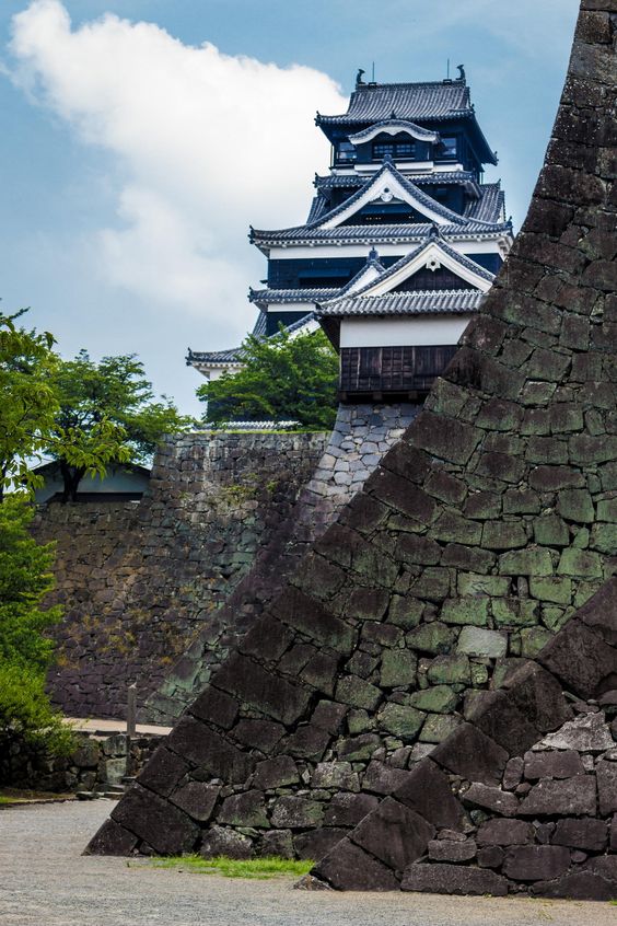 熊本熊长大后的样子,四只熊本熊图片