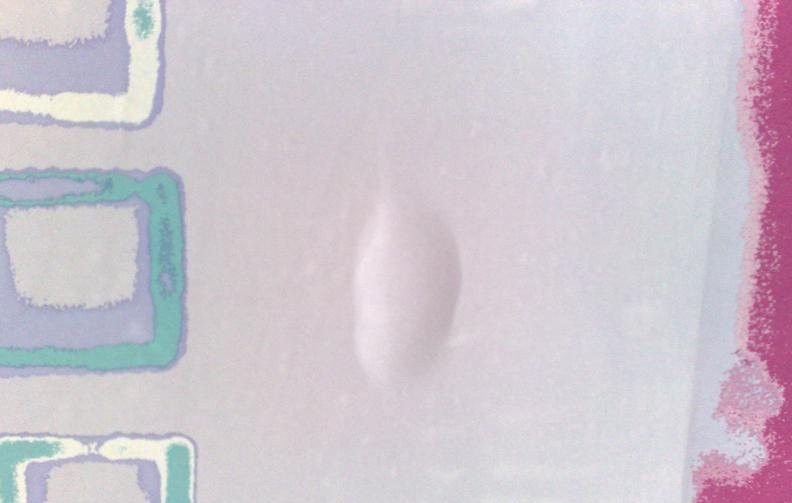 自粘壁纸起泡怎么解决,新房子贴壁纸墙面怎么处理