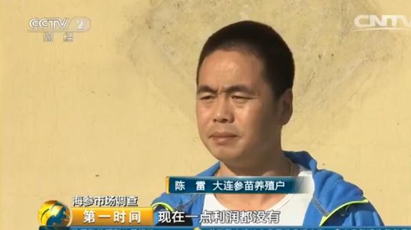 海参多少钱一斤比较合理呢,海参多少钱一斤算正常价格